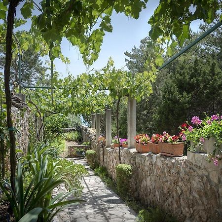 Studio Zavala 2061A Dış mekan fotoğraf