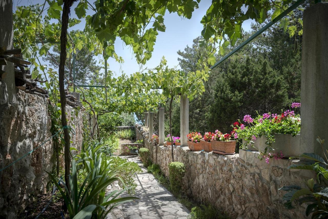 Studio Zavala 2061A Dış mekan fotoğraf